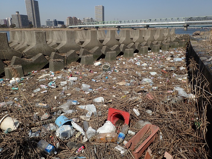 東京都港区荒川河口近くで大量にたまっているプラスチックごみ （2019年3月撮影） 